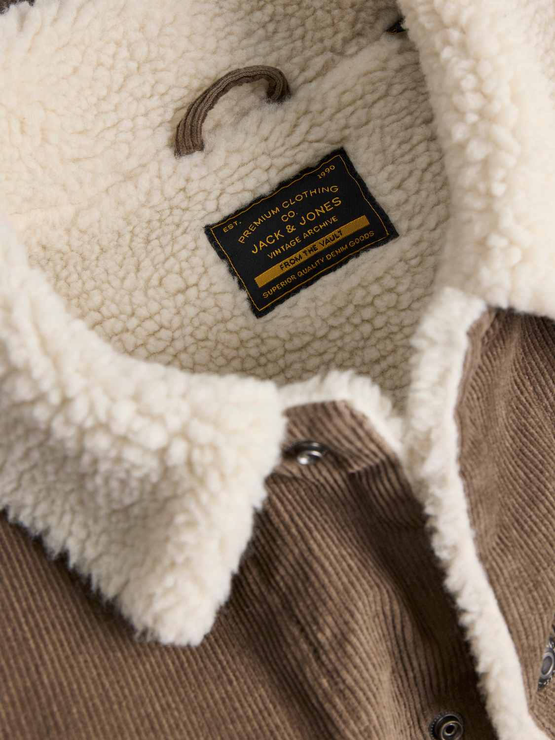 model_shot-detail